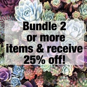 25% off of 2+ items! ✨